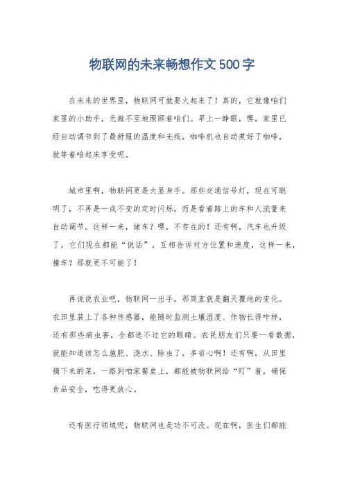 物联网的未来畅想作文500字