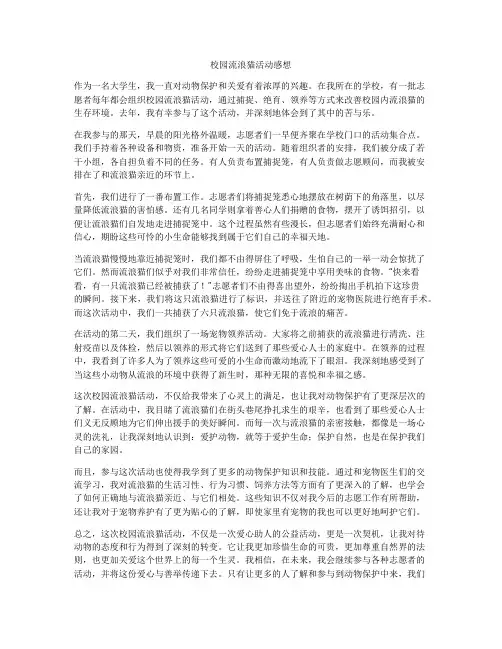 校园流浪猫活动感想