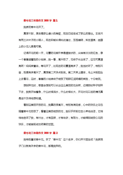 牵牛花作文三百字