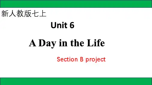 Unit 6 Section B Project 课件 人教版(2024)英语七年级上册