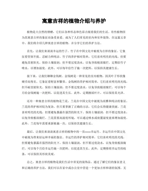 寓意吉祥的植物介绍与养护