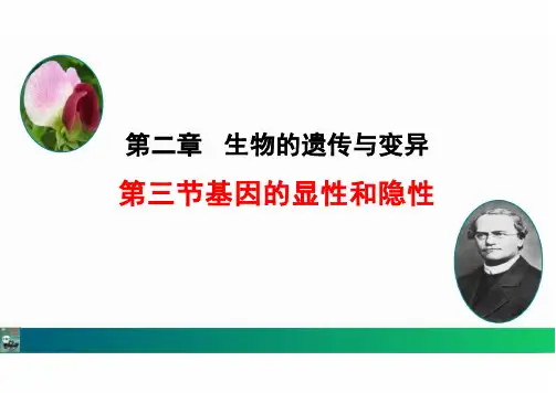 人教版八年级生物下册《基因的显性和隐性》课件