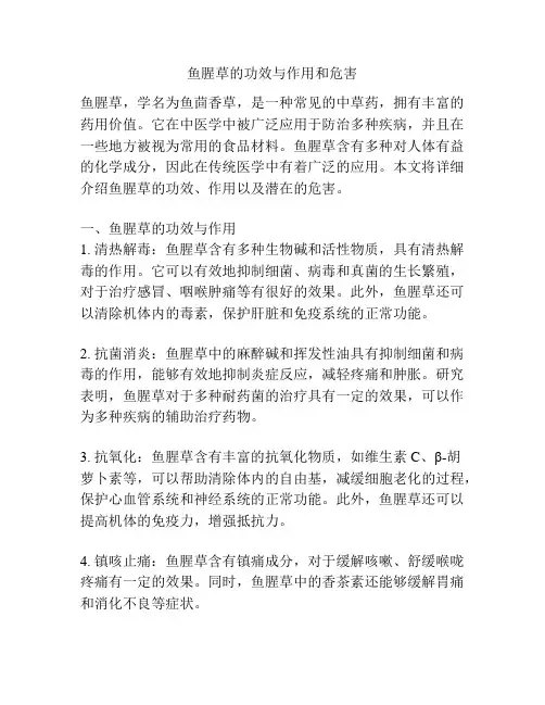 鱼腥草的功效与作用和危害