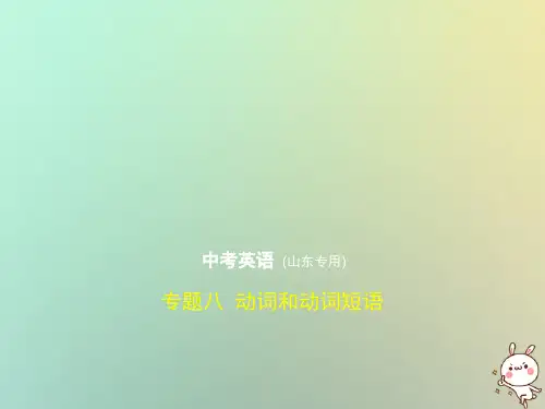 山东专用2019年中考英语复习专题八动词和动词短语试卷部分含18年中考真题精解精析课件20180906440