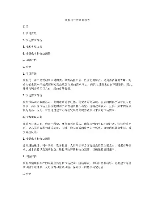 肉鸭可行性研究报告