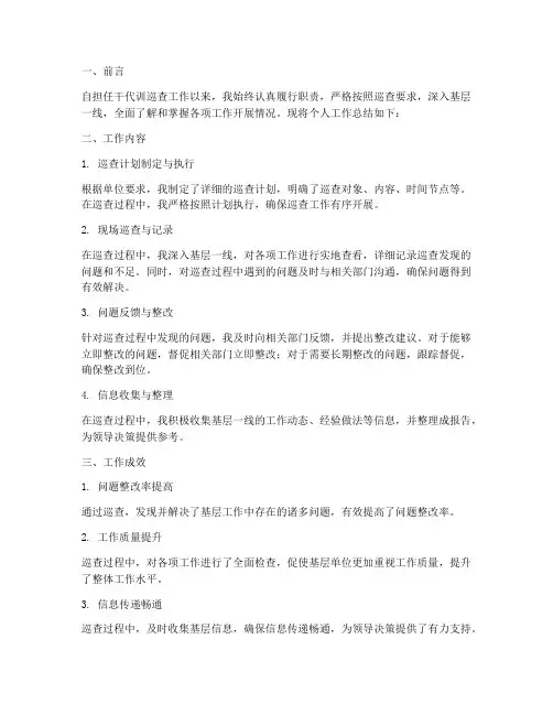 以干代训巡查个人工作总结