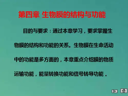 生物膜的结构与功能PPT课件