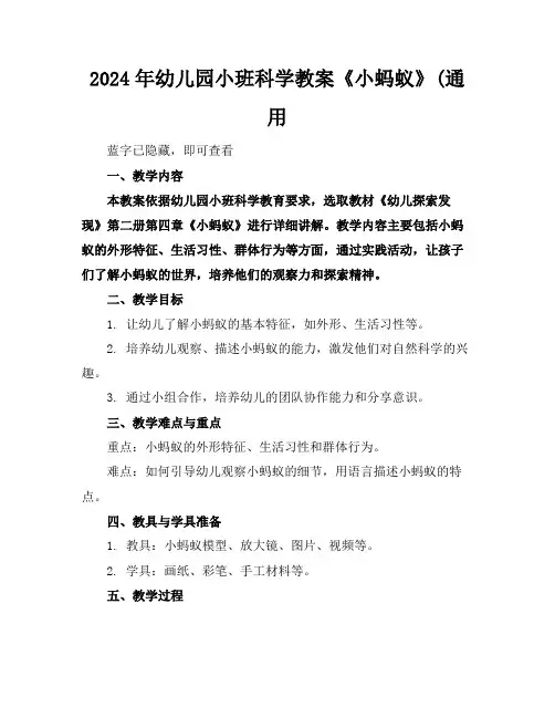 2024年幼儿园小班科学教案《小蚂蚁》(通用
