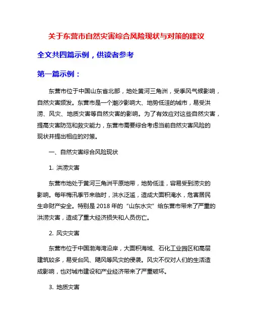 关于东营市自然灾害综合风险现状与对策的建议