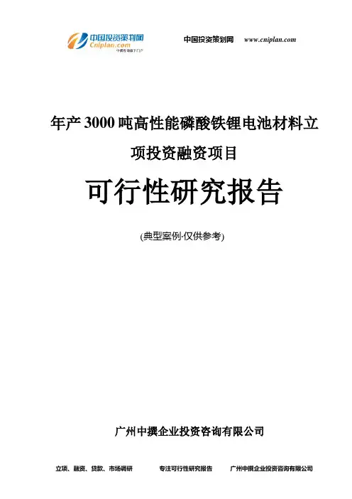 年产3000吨高性能磷酸铁锂电池材料融资投资立项项目可行性研究报告(中撰咨询)
