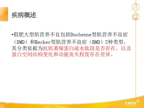 假肥大型肌营养不良症--精品医学课件