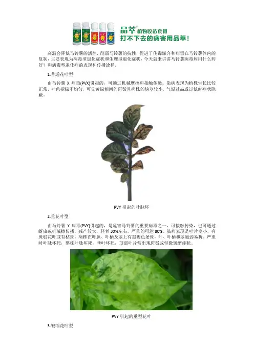 马铃薯病毒病用什么药好