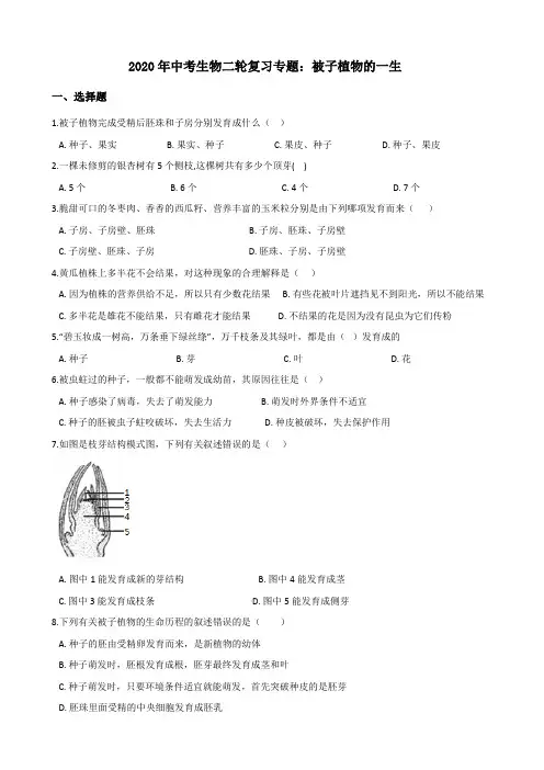 2020年中考生物二轮复习专题附解答：被子植物的一生