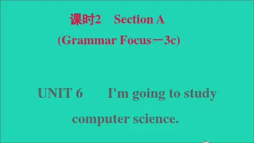 八年级英语上册Unit6课时2(GrammarFocus_3c)习题课件新版人教新目标版ppt