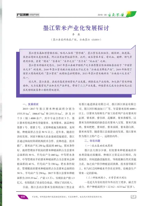 墨江紫米产业化发展探讨