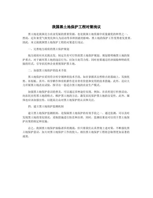 我国黑土地保护工程对策浅议