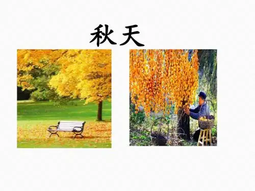 新人教部编版一年级语文上册第四单元课文一同步PPT课件--1、秋天课件   (共14张PPT)