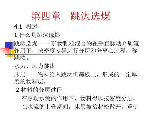 跳汰ppt