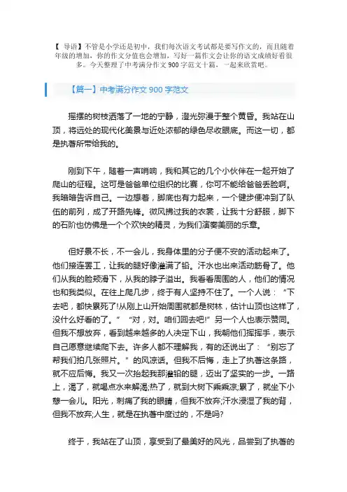 中考满分作文900字范文十篇