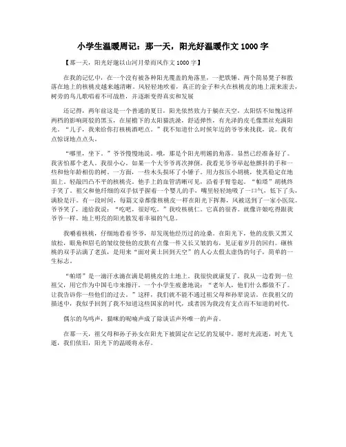 小学生温暖周记：那一天,阳光好温暖作文1000字