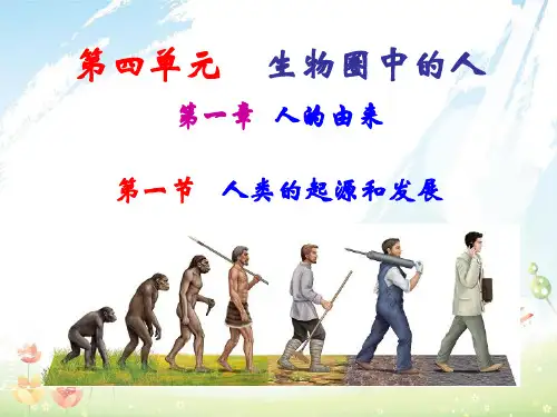 七年级生物下册第四单元第一章第一节人类的起源和发展课件3新版新人教版