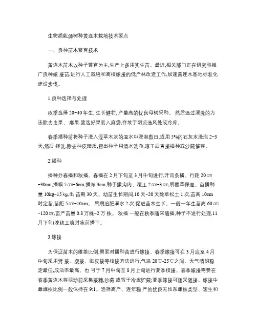 生物质能源树种黄连木栽培技术要点(精)