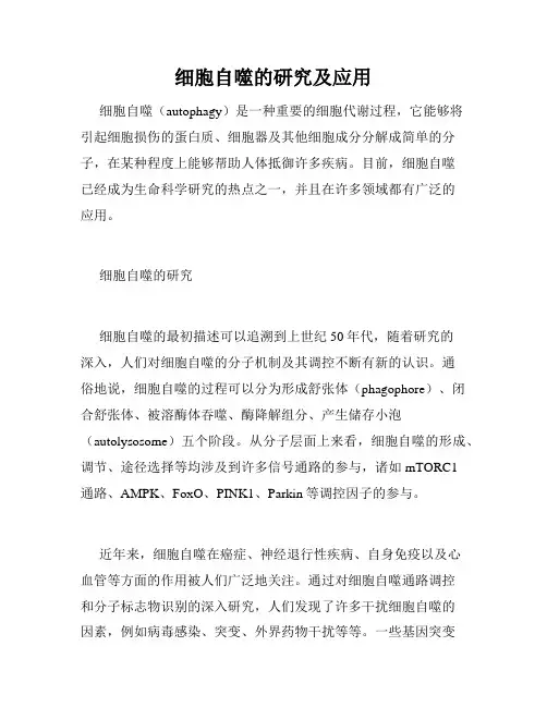 细胞自噬的研究及应用