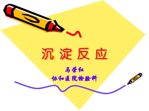沉淀反应3 PPT课件