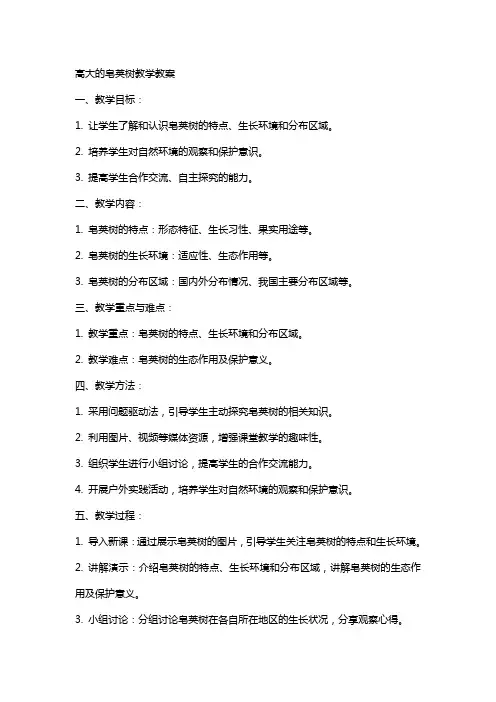 高大的皂荚树教学教案