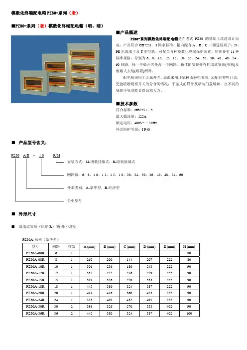 模数化终端配电箱PZ30-系列