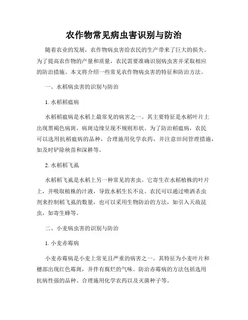 农作物常见病虫害识别与防治