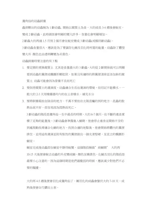 独角仙的幼虫饲养