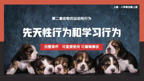 八年级生物上册先天性行为和学习行为PPT课件