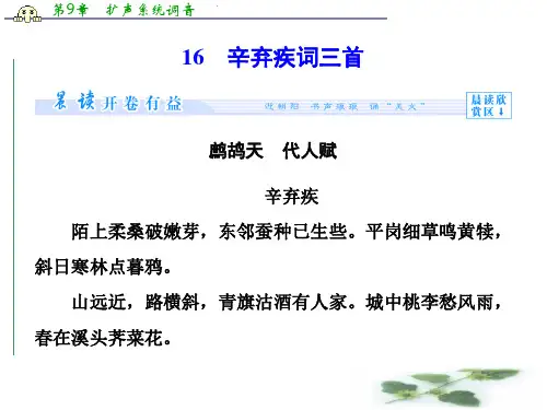 高二语文同步课件：3.16 辛弃疾词三首(粤教,选修《唐诗宋词元散曲选读》)