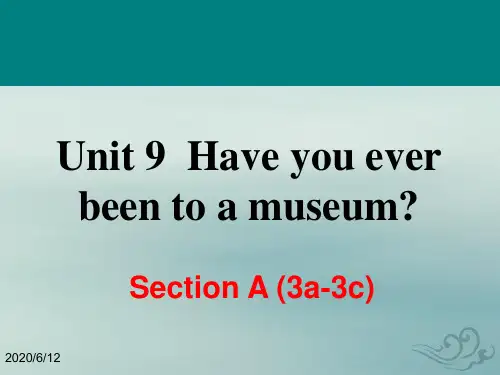 人教版英语八年级下册unit9 section a (3a-3c) ppt课件(共24张ppt )