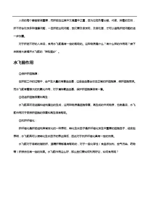 水飞蓟作用全揭秘,肝不好的你来看看