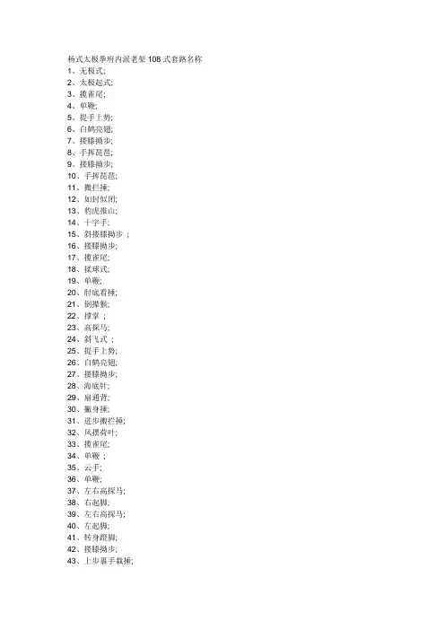 杨式太极拳府内派老架108式套路拳谱