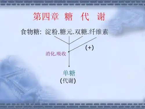 生物化学第2篇 第04章 物质代谢与调节--糖代谢