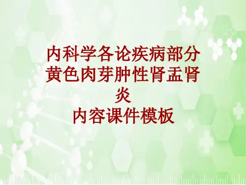 内科学_各论_疾病：黄色肉芽肿性肾盂肾炎_课件模板