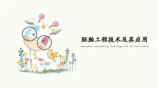 2-3-2胚胎工程技术及其应用(教学课件)——高中生物人教版(2019)选择性必修3