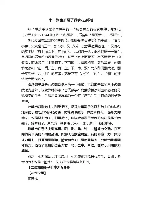 十二路鹰爪翻子行拳·五郎锤