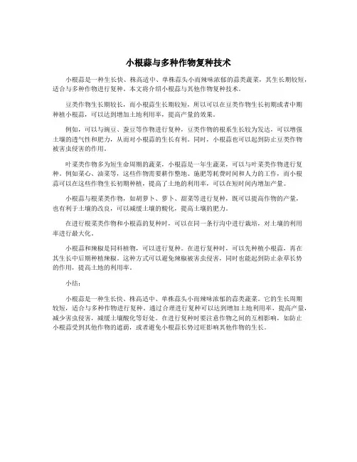 小根蒜与多种作物复种技术