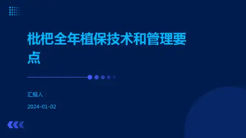 枇杷全年植保技术和管理要点