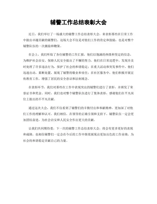 辅警工作总结表彰大会