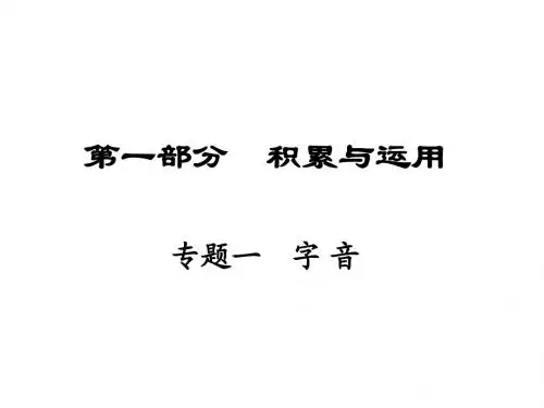 【ZKDG】2016中考语文(陕西省)课件：第1部分 专题1 积累与运用(18张)