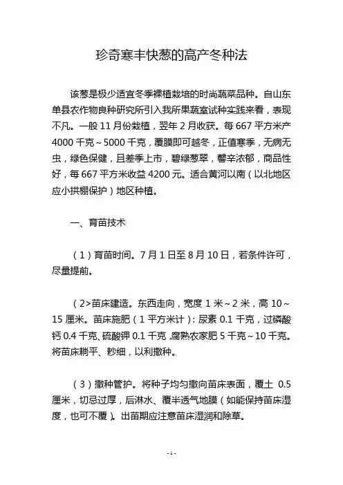 珍奇寒丰快葱的高产冬种法
