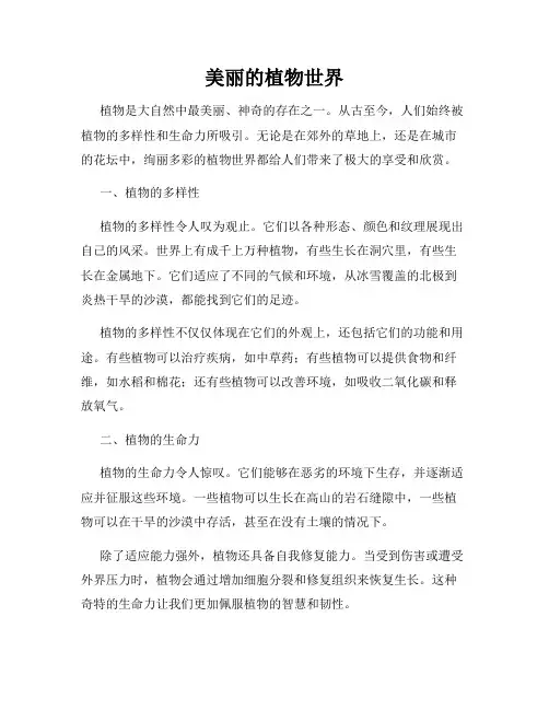 美丽的植物世界