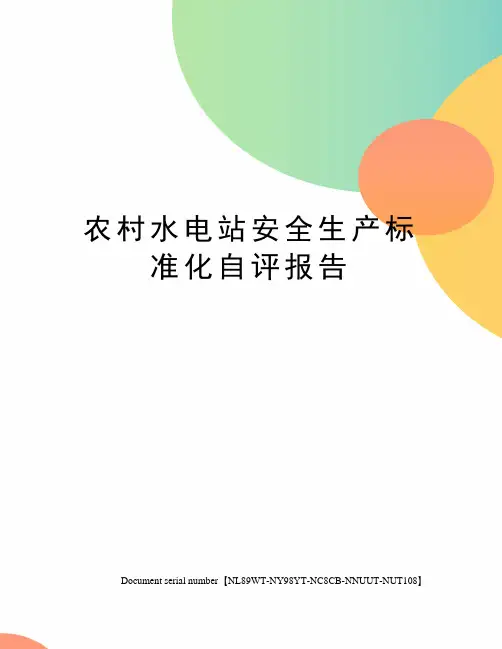 农村水电站安全生产标准化自评报告