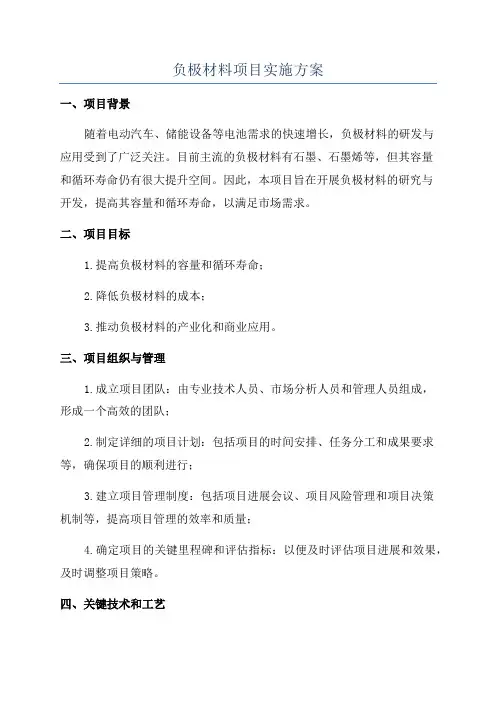 负极材料项目实施方案