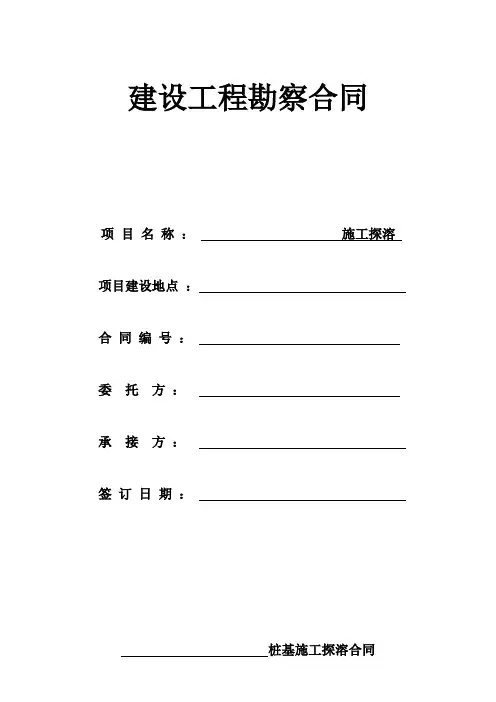 桩基探溶检测合同